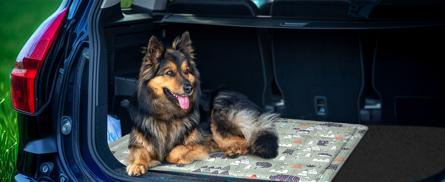 Кühlmatte Hunde: Охолоджуючий килимок для собак та котів 50x65 см. Самоохолоджуючий, водовідштовхуючий, з нетоксичним гелем. Для дому та вулиці.