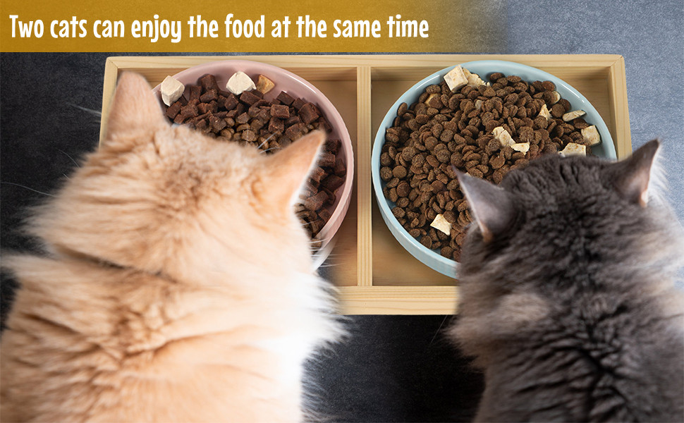 Миска для котів плоска керамічна з дерев'яною підставкою, піднята станція для годування з 2 керамічними мисками, миска для котів, діаметр миски 16 см для їжі та води, рожева & блакитна, блакитно-рожева