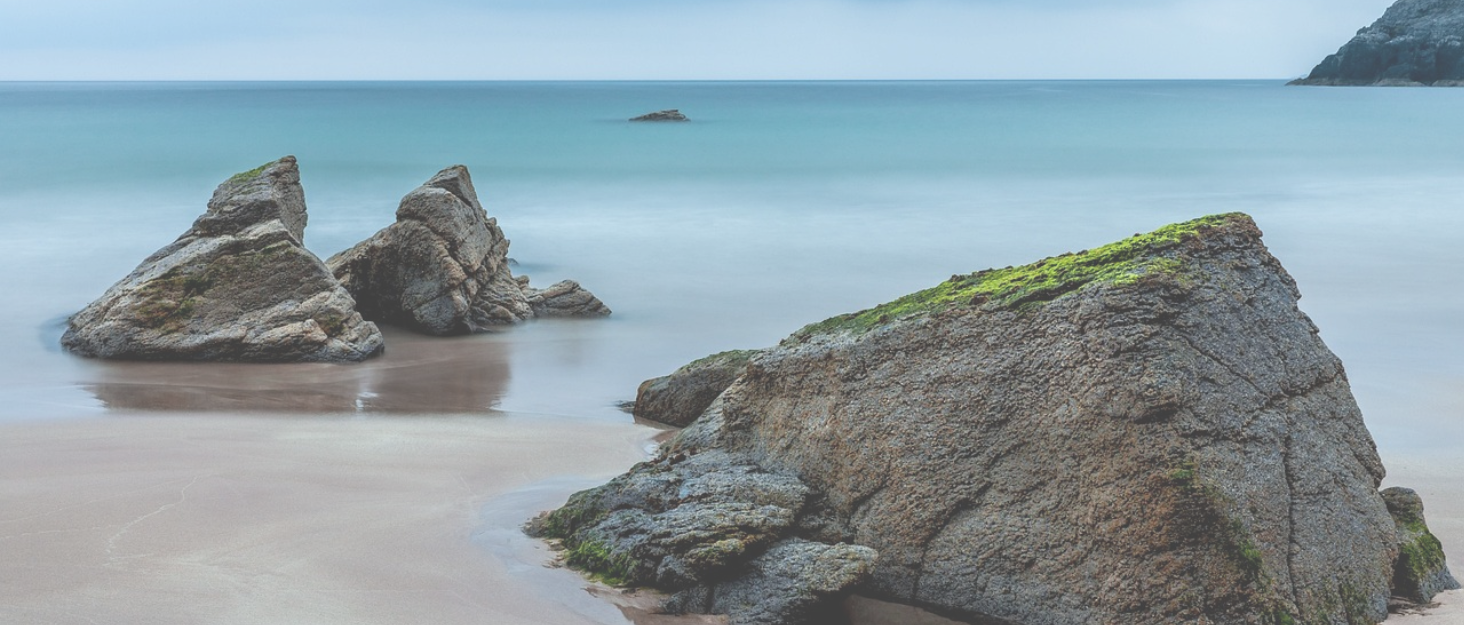 Автоматичний диспенсер для котячого корму з охолоджуваним відсіком, годівниця для малих собак, сухий та вологий корм, автоматична таймерна годівниця GRAY