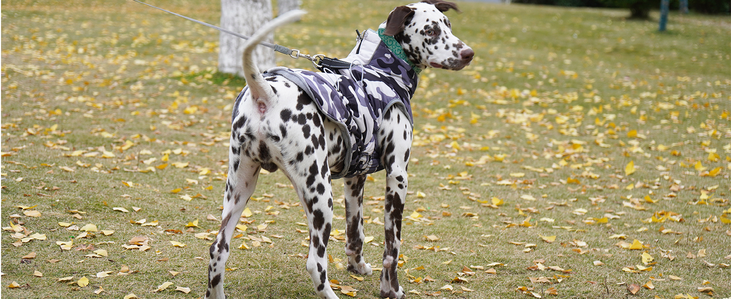 Водонепроникний теплий зимовий одяг для собак - куртка з отвором для шлейки, з відбиваючими смугами, для малих, середніх та великих собак, колір: сірий камуфляж, розмір: S