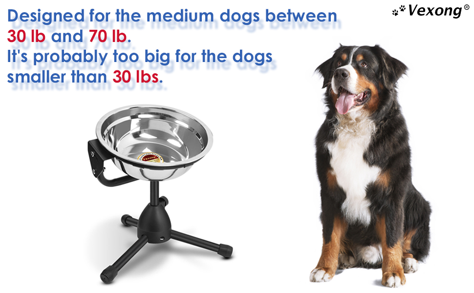 Підвищена годівниця для собак Vexong, миска для корму та води, нержавіюча сталь, регульована висота, антиковзаюча, набір, металевий стійка, (M)