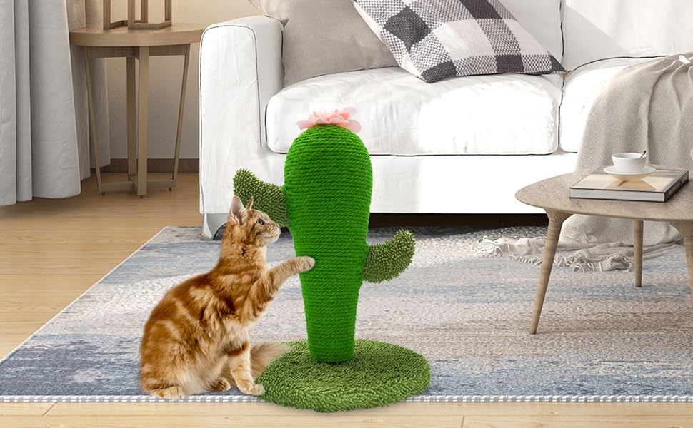 Крактус для котів AUSCAT: сонячний крактус-кліматизатор з сизалю для кошенят, кімнатний крактус-кліматизатор