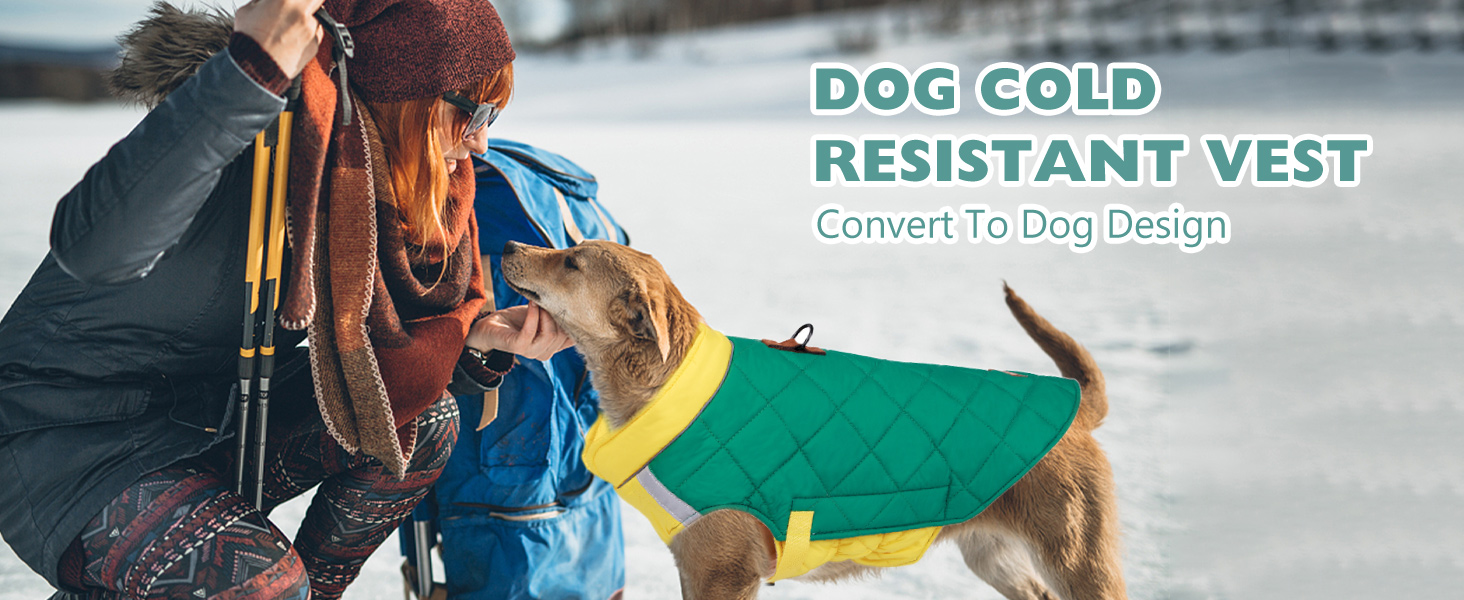 PETCUTE Водонепроникний зимовий дощовик для собак, теплий дощовик для собак середніх та великих порід, з світловідбиваючими смугами, з отвором для шлейки, сірий+блакитний