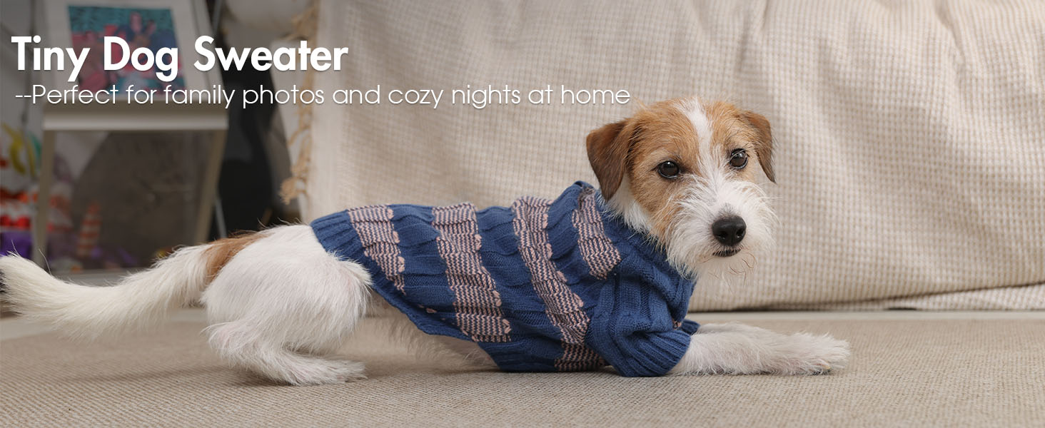 Теплий зимовий пуловер для собак маленьких порід з отвором для повідка, з малюнком 