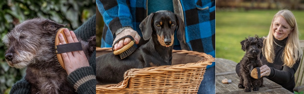 Щітка для грумінгу тварин Mikki 6280002 з бамбука з кульковими насадками, для собак та котів, 95 г