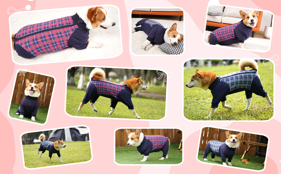 Корпусний костюм для собак після операції Heywean з блискавкою, блакирий в клітинку. Підходить для собак після кастрації, для собак після операції, ергономічний костюм для відновлення.