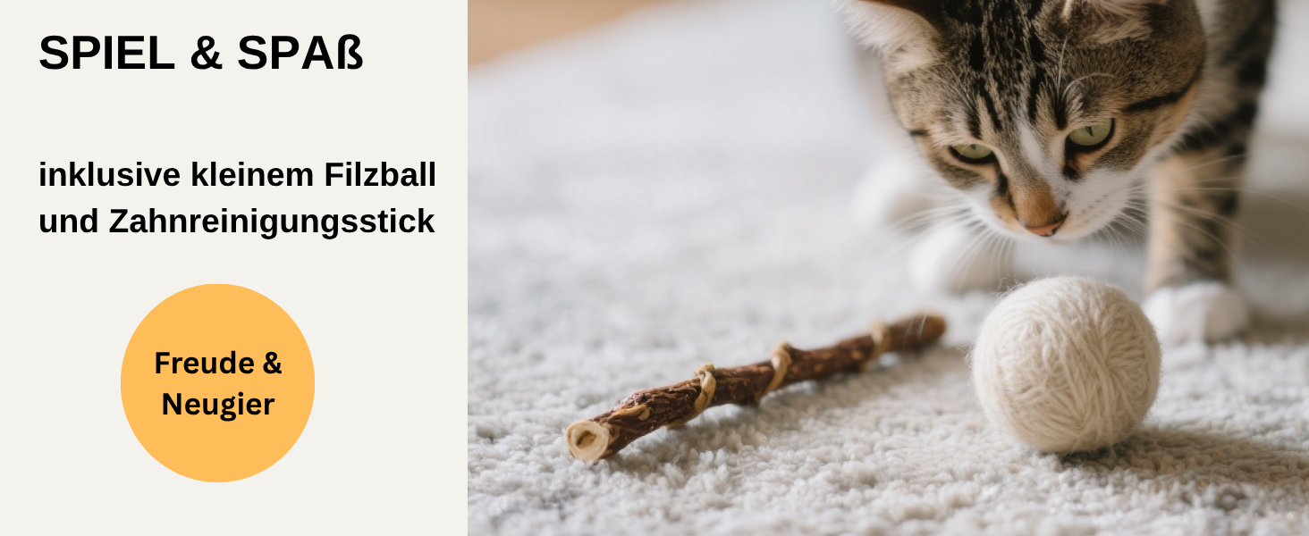 Кігтеточка-будиночок для котів XL, з вовни Romney, сірого кольору