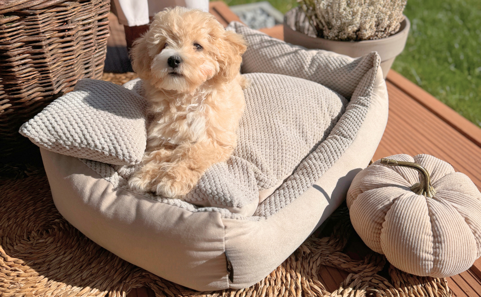 Квіткове ліжко для котів та собак 4L Textil Teo: м'яке, зручне, миється, 60x40 см, сірий колір