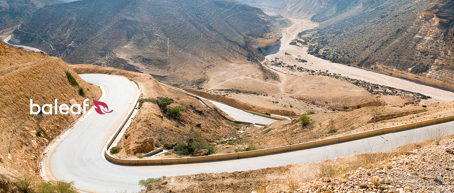 Брюки для їзди верхи Baleaf для жінок та дівчаток, зимові, утеплені, з підкладкою, водонепроникні, з кишенею для телефону, чорні, розмір M