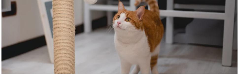 Ліжко для собак Ferplast SOFA' 6 - коричневе, 73 x 55 x 27 см. Зручне ліжко-софа для собак та котів з миючим наповнювачем.