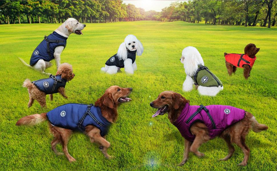 Водонепроникний теплий зимовий одяг для собак. Куртка для маленьких, середніх та великих собак, включаючи Лабрадор, Чихуахуа, Французький бульдог. Чорний колір, розмір XL (6.5-9кг)