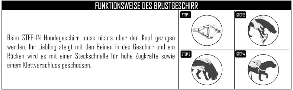 Шлейка для собак DDOXX відбиваюча Airmesh, регульована, для цуценят та собак всіх розмірів, XS, зелена (обхват грудей 28-33 см)