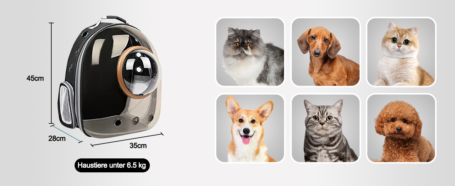 Рюкзак для кота/собаки Galatée, переноска для домашнього улюбленця, водонепроникний, прозорий, чорний, 35*45*28 см