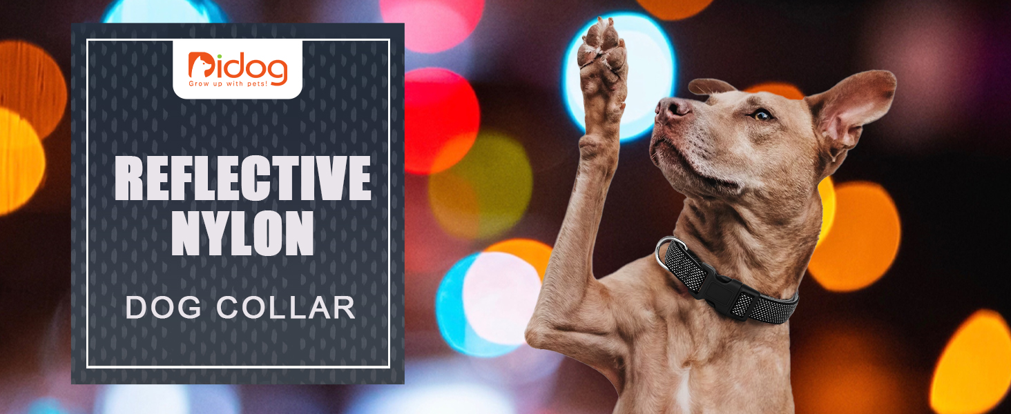 Відбиваючий нашийник для собак Didog з пряжкою, регульований, м'який неопрен, з підкладкою, нейлон, для маленьких, середніх та великих собак, чорний, L: обхват шиї 33-56 см, чорний