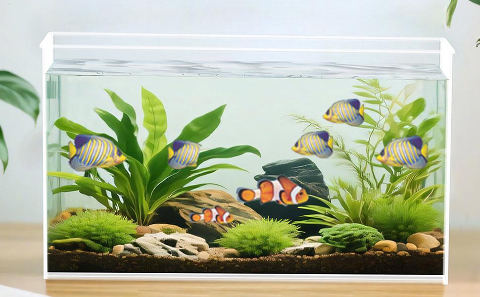 Акваріум Luckxing 29x15x15 см: прямокутний, без рамки, для риб та рослин