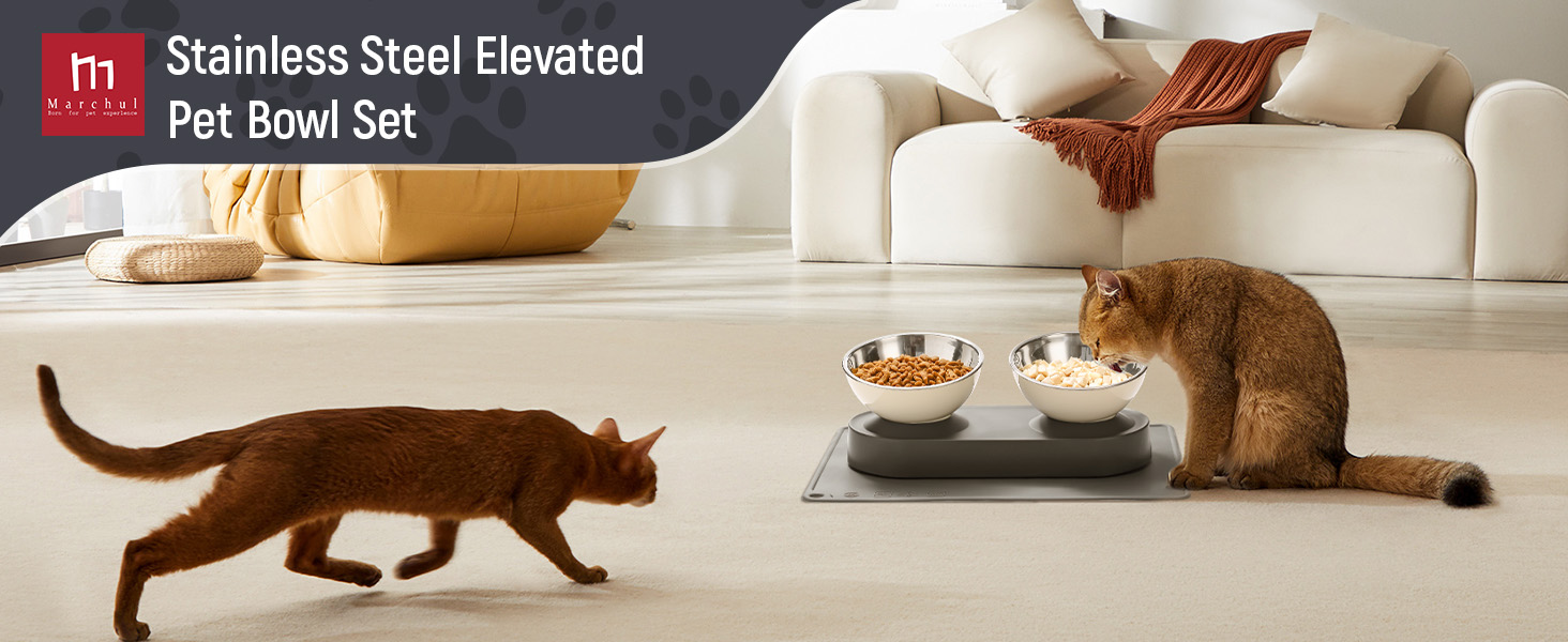 Набір мисок для котів та маленьких собак Marchul: подвійні, з підставкою, з нержавіючої сталі, 15° нахил, з силіконовим килимком