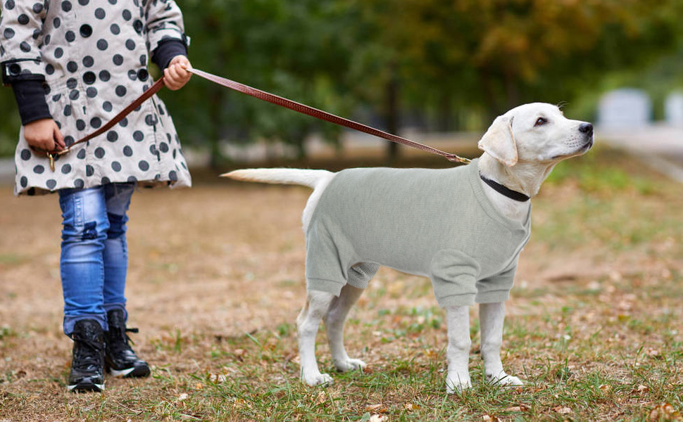 Зимовий теплий одяг для собак: жилети, куртки, комбінезони для собак різних розмірів (XS, B-Gray). Підходять для малих, середніх та великих собак.