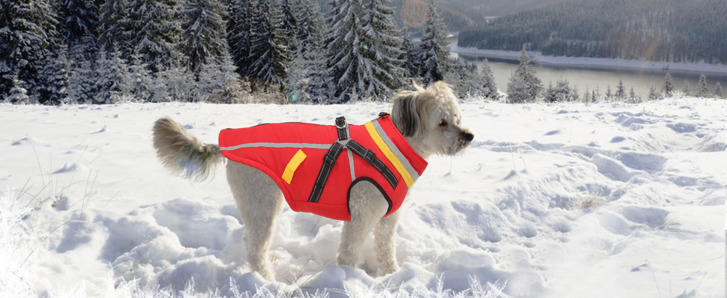 Теплий зимовий одяг для собак FeimaX: флісова куртка з блискавкою, для малих та середніх собак (червоний, 3XL)