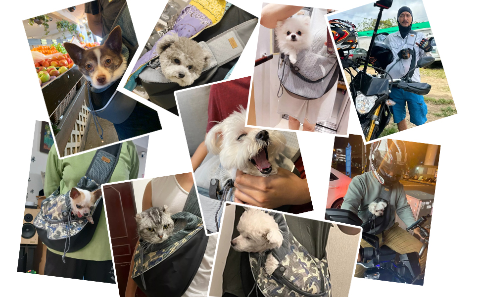 Слін для собак та цуценят CUBY: зручний та безпечний, з дихаючою сіткою та регульованим ременем, для прогулянок та подорожей (Джинс, M)