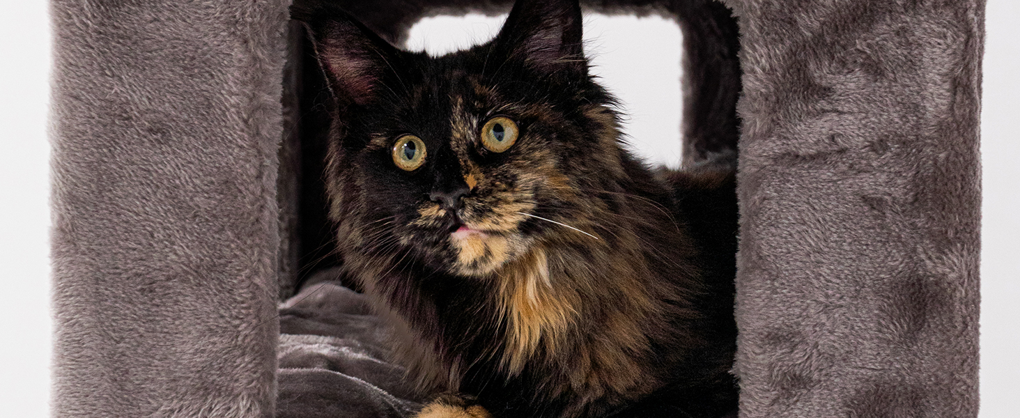 Драбина-будинок для котів Petrebels Parklane 175 см, з гамаком XXL, будиночком, диваном та товстими стовпчиками, колір капучино