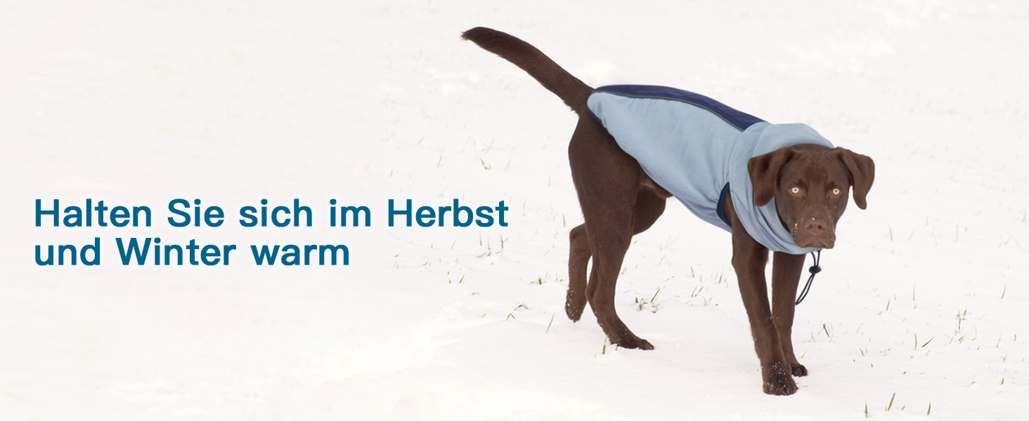 Теплий зимовий пуховик для собак Katzinst - теплий пуховик для собак з захистом живота, флісовий, для великих собак, зелений (2XL)