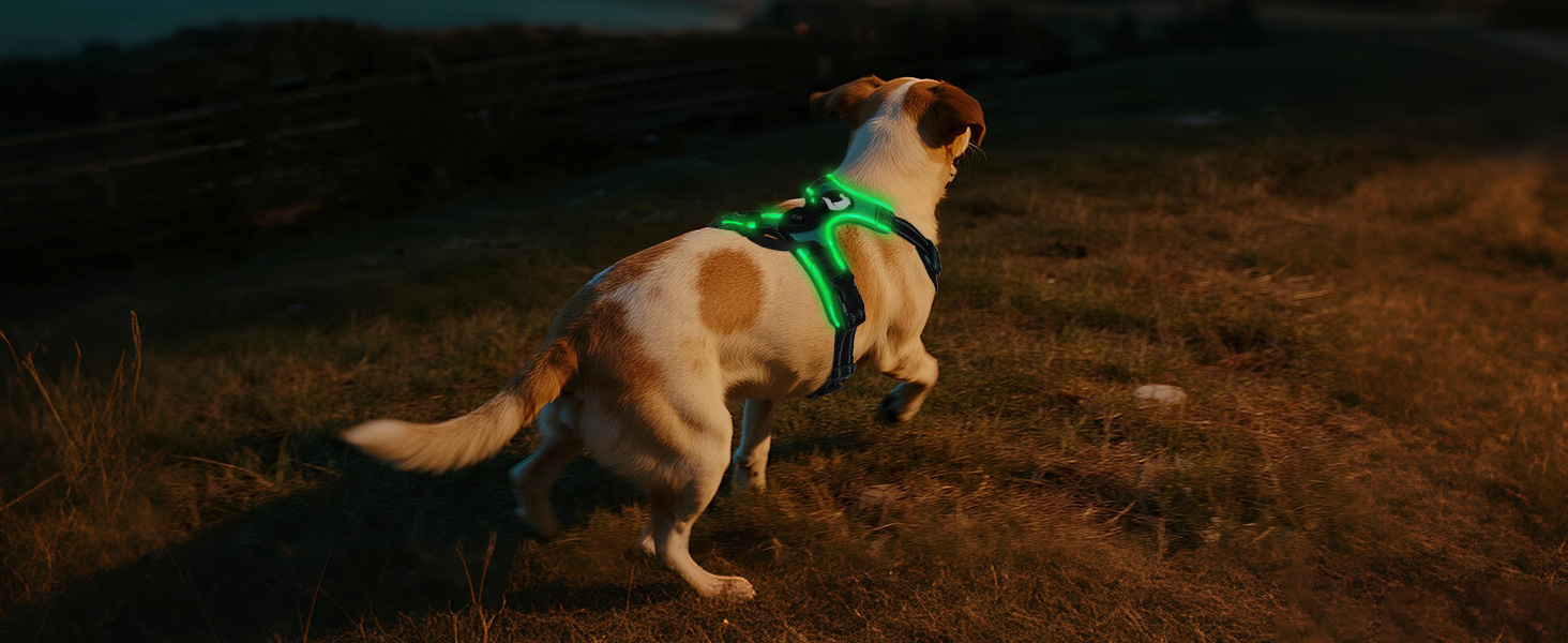 Світловідбиваючий нашийник для собак Joytale з LED, для середніх собак, без натягування, з ручкою, регульований, для нічних прогулянок, зелений, розмір M (1 шт.)