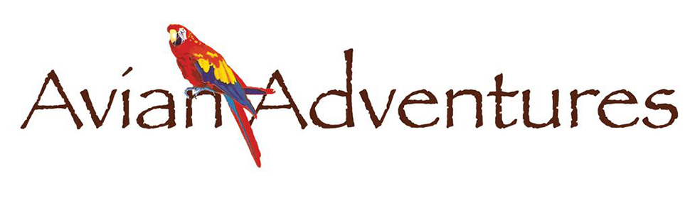 Клітка-переноска для птахів Midwest Homes for Pets Poquito, 48 x 39,5 x 60 см, з жердками та годівницями з нержавіючої сталі