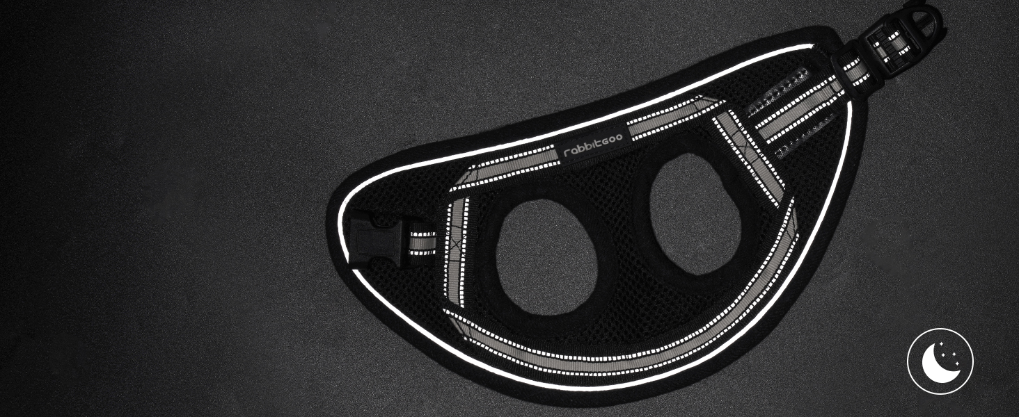 Шлейка для котів Rabbitgoo з повідком, чорна, M (XL, 1 шт.)