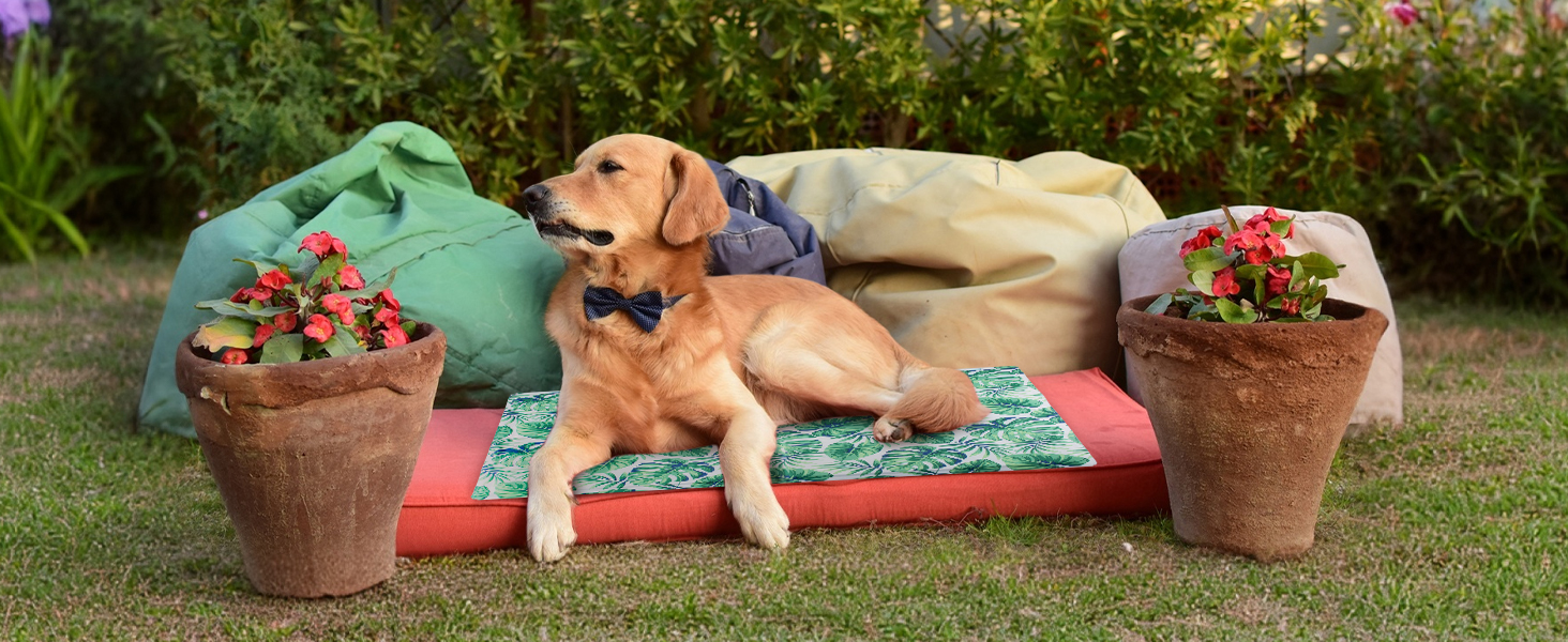 Кілим-охолоджувач для собак та котів Ninonly 50 x 65 см. Самостійно охолоджуючий, з нетоксичним гелем, вологостійкий, для дому та вулиці