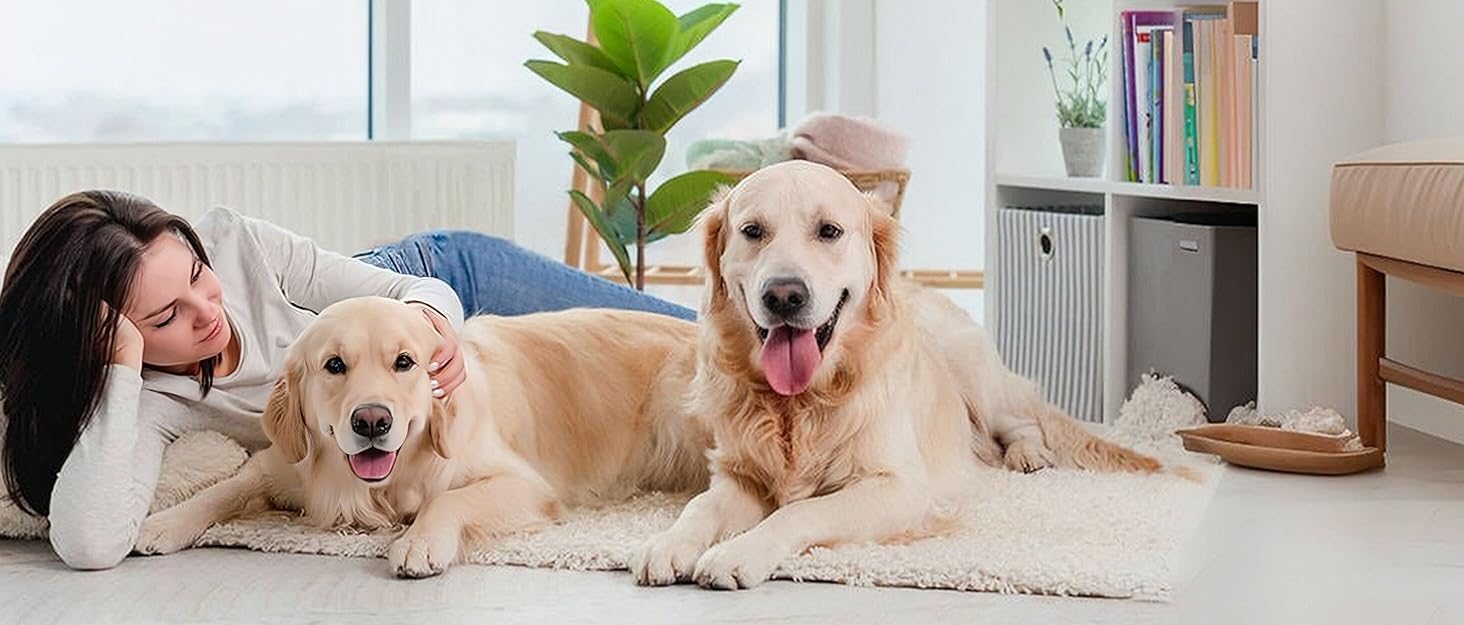 Чоботи для собак REESTBOO, 4 шт. Водонепроникні захисні човники для лап з відбиваючим ремінцем, клямками, для великих собак, чорні (XXL)