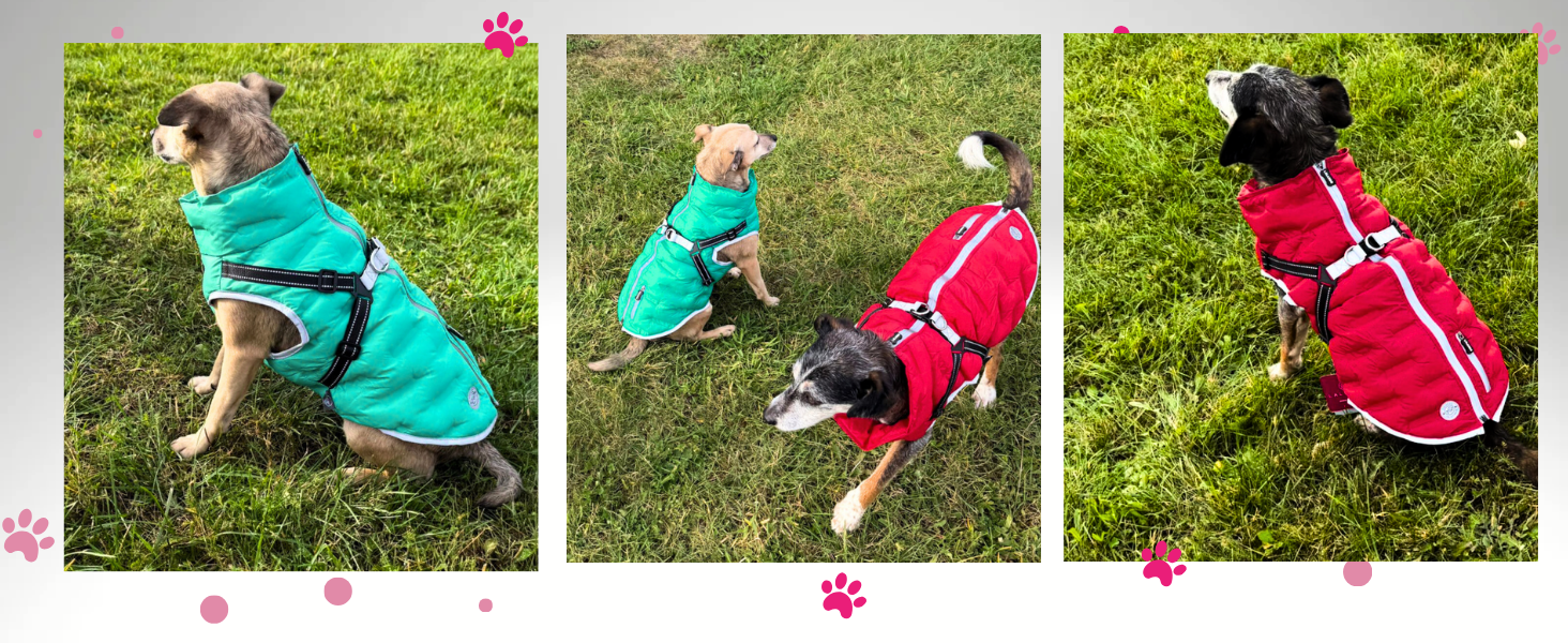 Водонепроникна тепла куртка для собак 2-в-1 з інтегрованою шлейкою - Зимова куртка для собак з відбиваючими елементами, вітронепроникна та легка, ідеальна для осені та зими, червона, розмір L