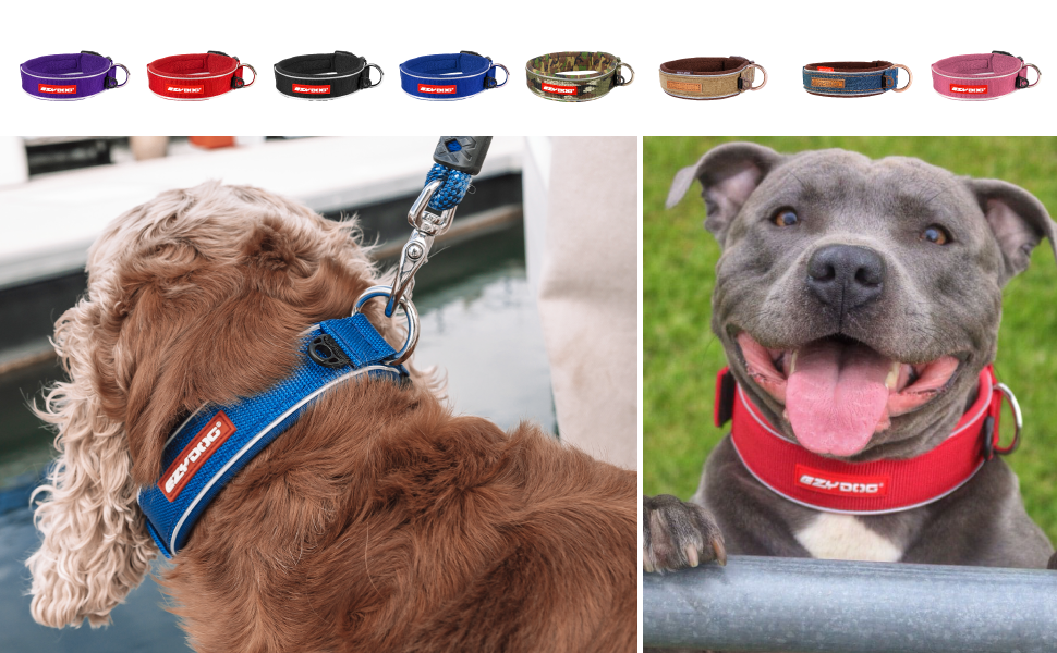 Нашийник для собак EzyDog - неопреновий, водонепроникний, світловідбиваючий (M, чорний) 39-44 см
