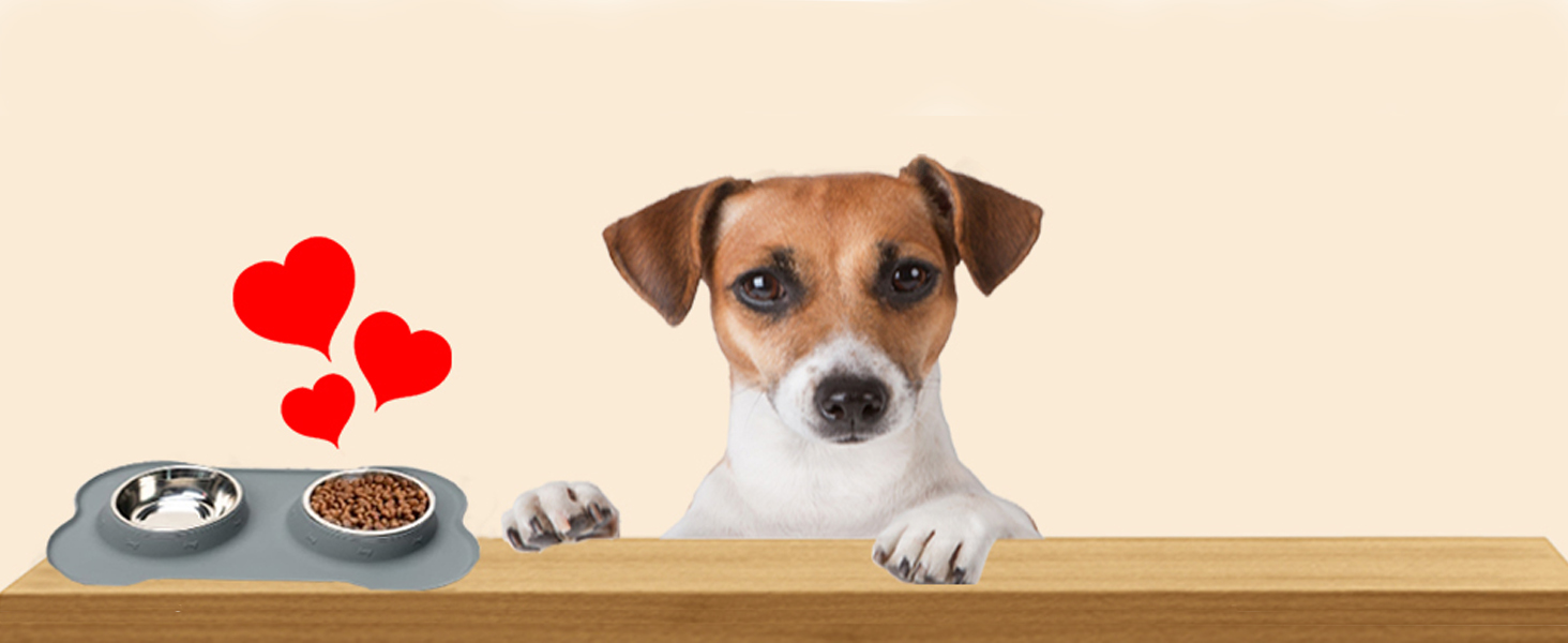 CEASELESLY Миски для собак з нержавіючої сталі, 2 шт по 400 мл, з підставкою з силікону, для собак середніх та малих порід, котів та цуценят, корм для тварин (темно-сірий)