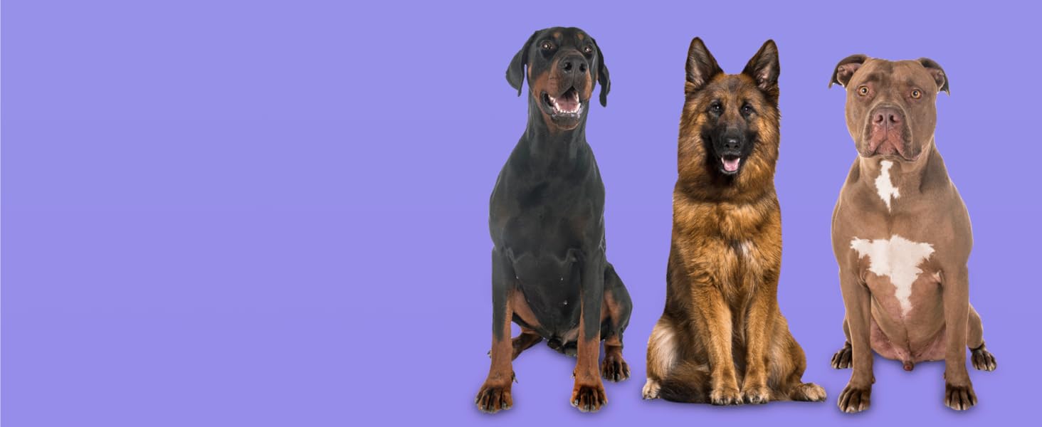 Ортопедичне собаче ліжко Normani для великих, середніх та маленьких собак - м'яке ліжко-диван з високим бортиком, колір бежевий, розмір 60x80x16 см