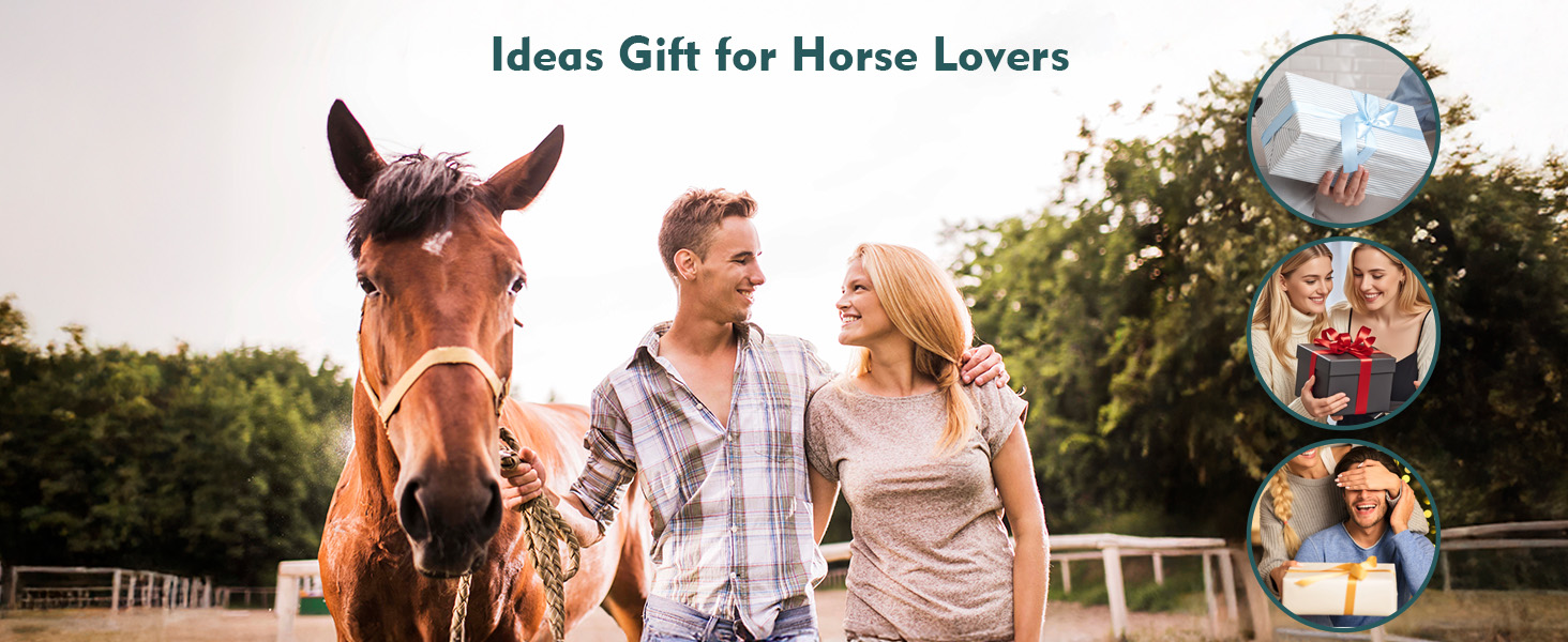 Набір для догляду за конем GHWMYD 13 предметів: щітки, гребінці, інструменти для грумінгу