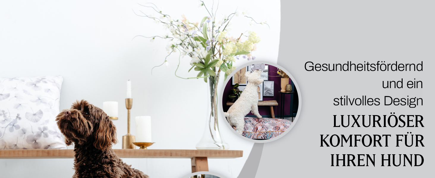 Килимок для собак Madison Matthias M – зручний та стійкий лежак для собак преміум-якості з знімним чохлом