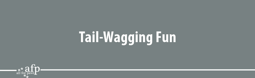 Інтерактивна іграшка-метелик для котів ALL FOR PAWS 3 в 1 з кульками та пером, автоматичний спінер, для дому (6 шт. у наборі)