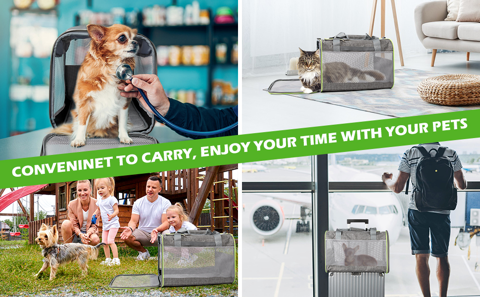 Транспортний бокс для котів Lannvan, до 6,5 кг, чорний (45x30x30 см)