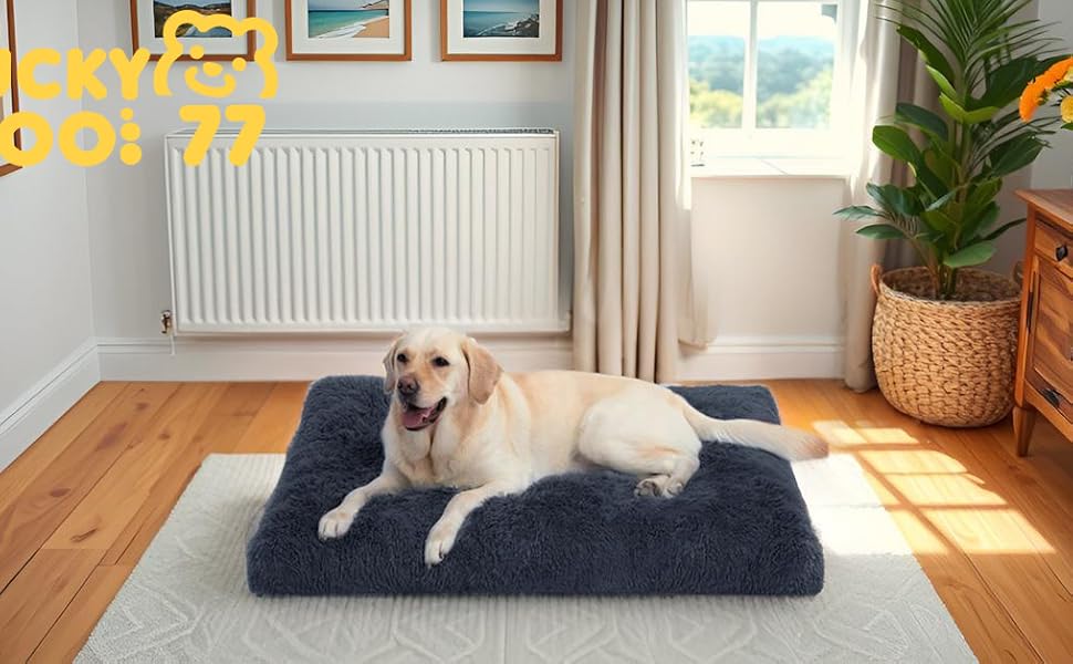 М'яке ліжко для собак середніх порід та котів, 75 x 50 x 8 см, темно-сірий колір