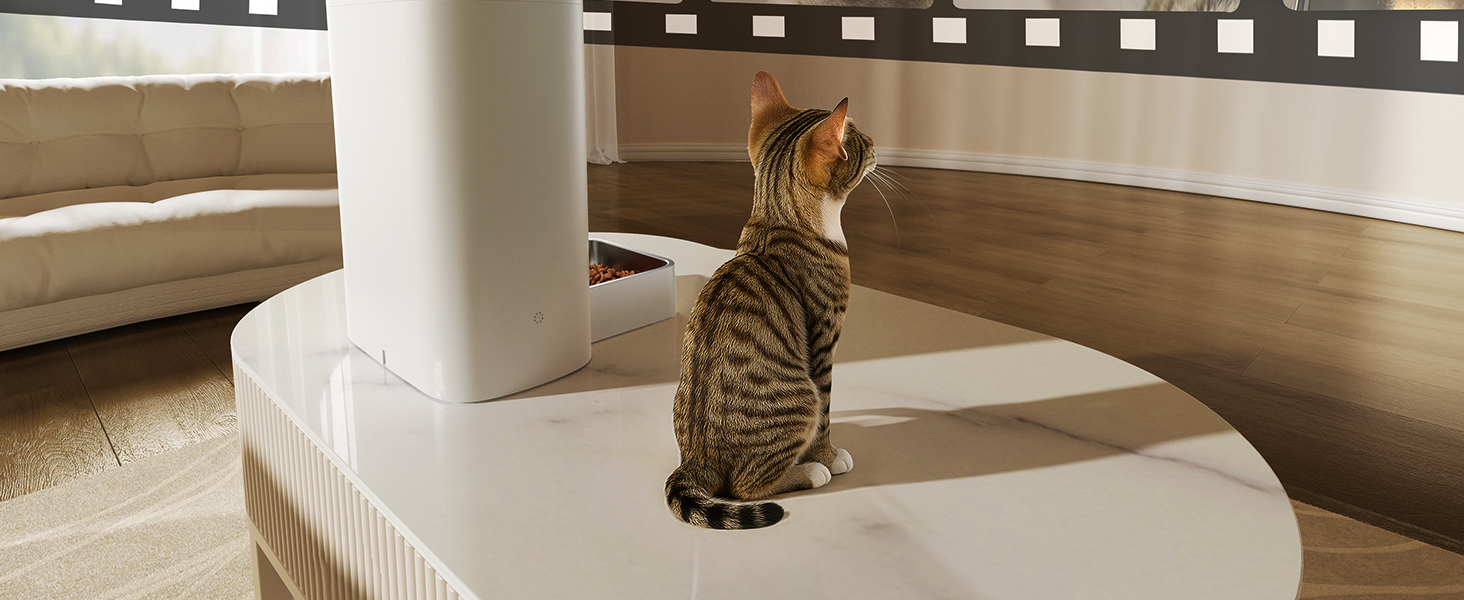 Автоматичний кормушка для котів FEELNEEDY з додатком