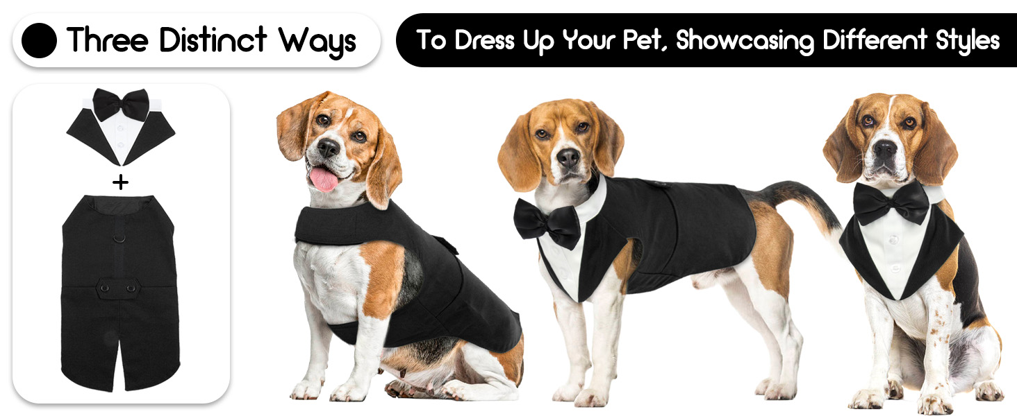 Костюм для собак