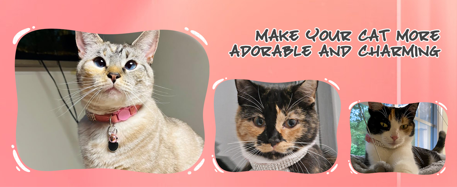 Нашийник для котів ExPawlorer з дзвіночком та стразами, м'який оксамит, безпечний, регульований, для котів та маленьких собак, 2 шт. (чорний та фіолетовий), 9'-12'