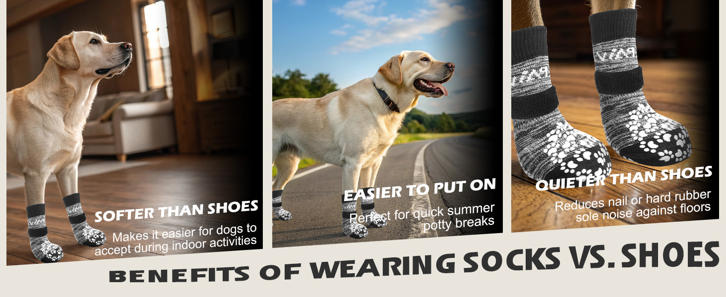 Шкарпетки для собак EXPAWLORER: антиковзаючі, захист лап, для гарячих доріг, контроль зчеплення, 6 шт. (X-small, Росаграу)