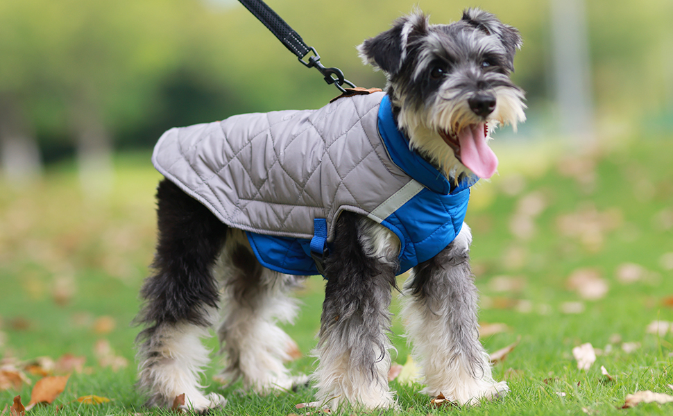 Теплий зимовий теплий жилет для собак маленьких та середніх порід, жилет для собак, одяг для собак, жилет для сноубордингу, одяг для чихуахуа, бульдога, зелений, 2XL