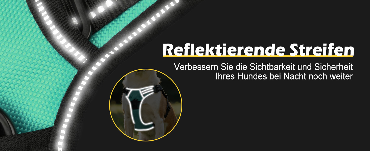 Світловідбиваючий нашийник для собак Joytale з LED, для середніх собак, без натягування, з ручкою, регульований, для нічних прогулянок, зелений, розмір M (1 шт.)