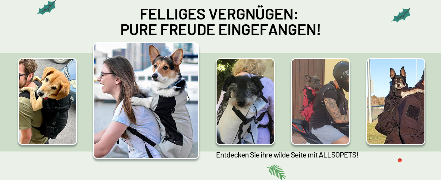 Рюкзак-переноска для собак ALLSOPETS, регульований, сірий шалфей, L