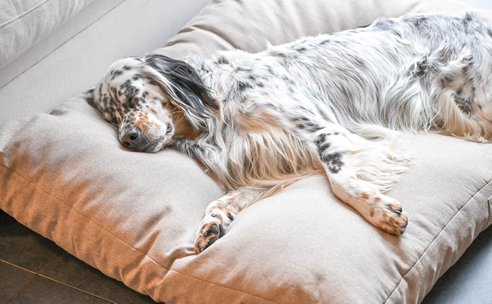 Ортопедична подушка для собак та котів, з меморі-піни, невелика, водовідштовхувальна, для суглобів, не деформується, бежева