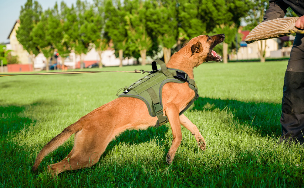 Тактичне обіднє нашийник для собак VavoPaw з MOLLE панеллю та світловідбиваючими смугами, армійного кольору, розмір L (45-80 фунтів)