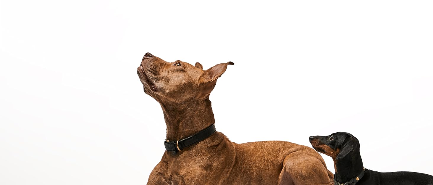 Подушка для собак ручної роботи, килимок для собак, ковдра для собак середніх та маленьких порід, прання до 90ºC, захист дивану, для домашніх тварин, собак та котів (L 98x97x3 см, Антрацит/Сірий) L 98x67x3 см Антрацит / Сірий