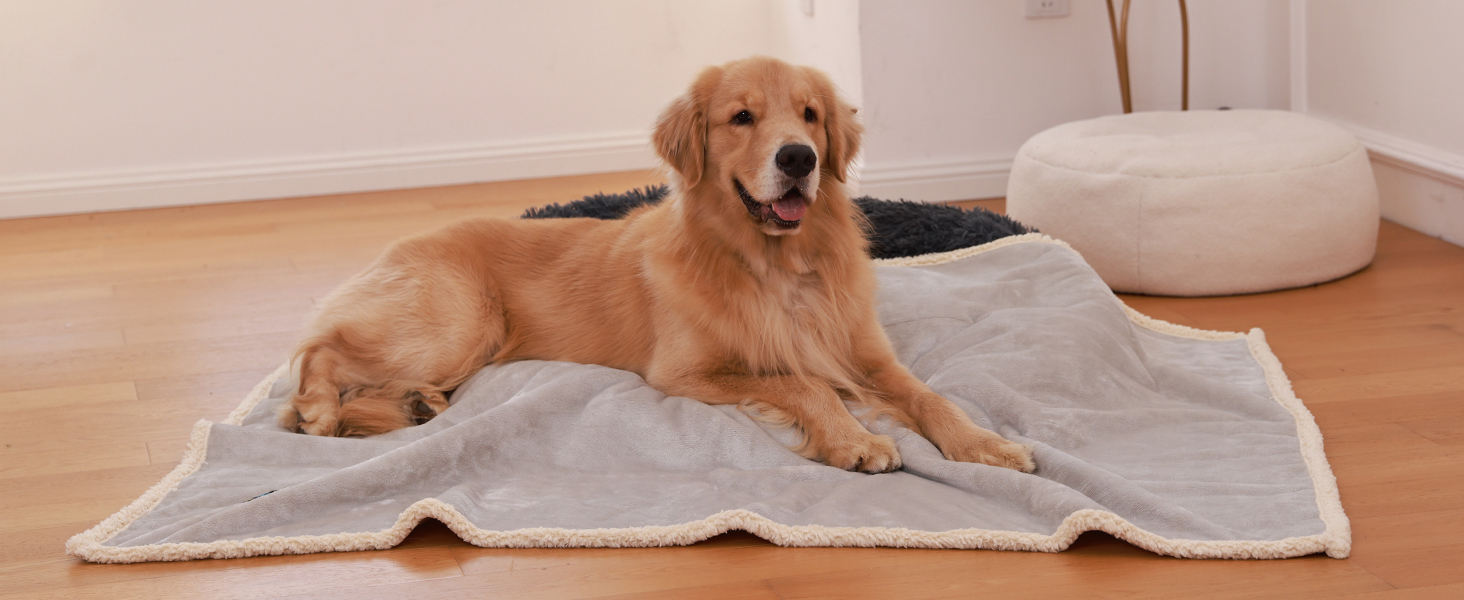 Водонепроникний килимок для собак Luciphia, плюшевий, з флісу, для дому та вулиці, захисний для дивану, ліжка, автокрісла, меблів, сірий, розмір L (145 x 165 см)